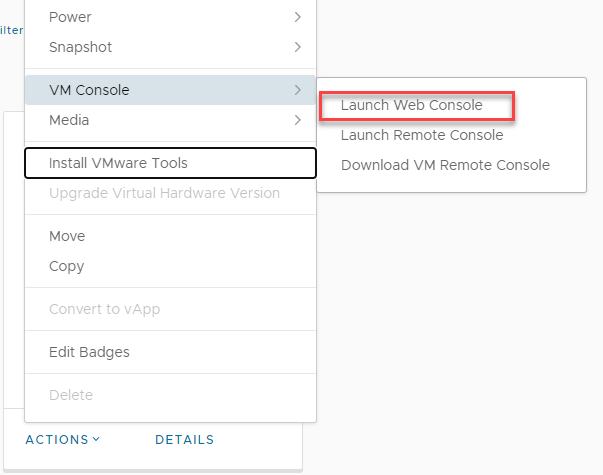 Launch Web Console